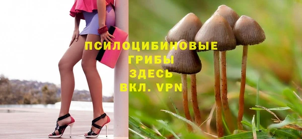 МДПВ Киренск