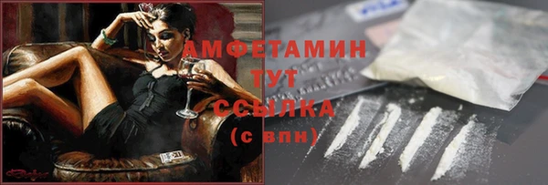 сатива Козельск