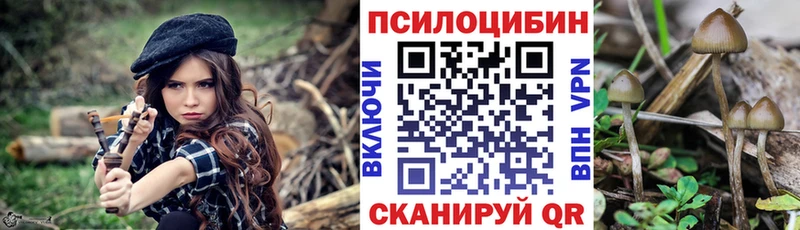 Купить где  Ковдор  Псилоцибиновые грибы мухоморы 